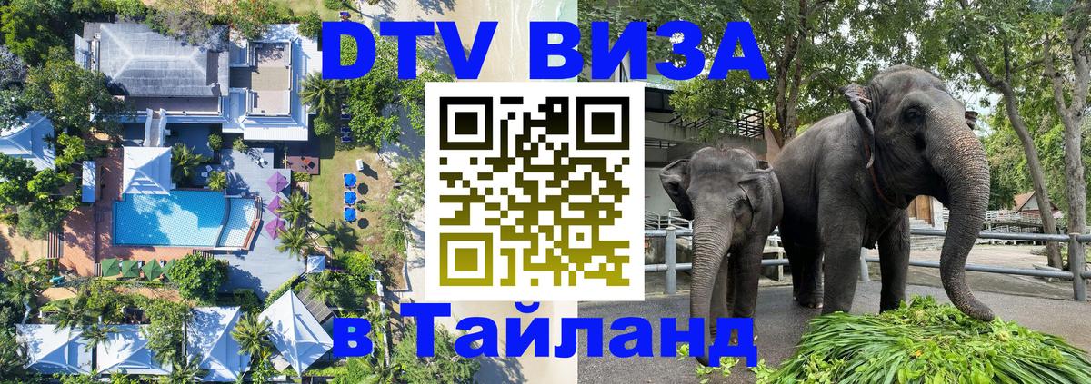 Виза ДТВ на 5 лет в Тайланд Тверь 